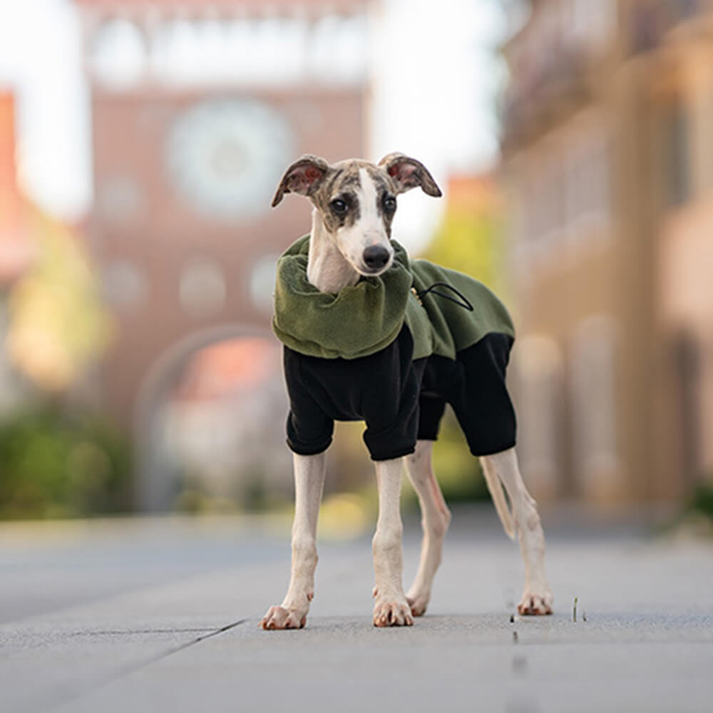 Combinaison pour chien en polaire à couverture complète avec collier amovible