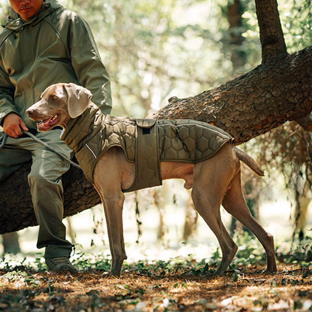 Quilted Outdoor Dog Vest - Warm and Durable for Hiking and Adventures