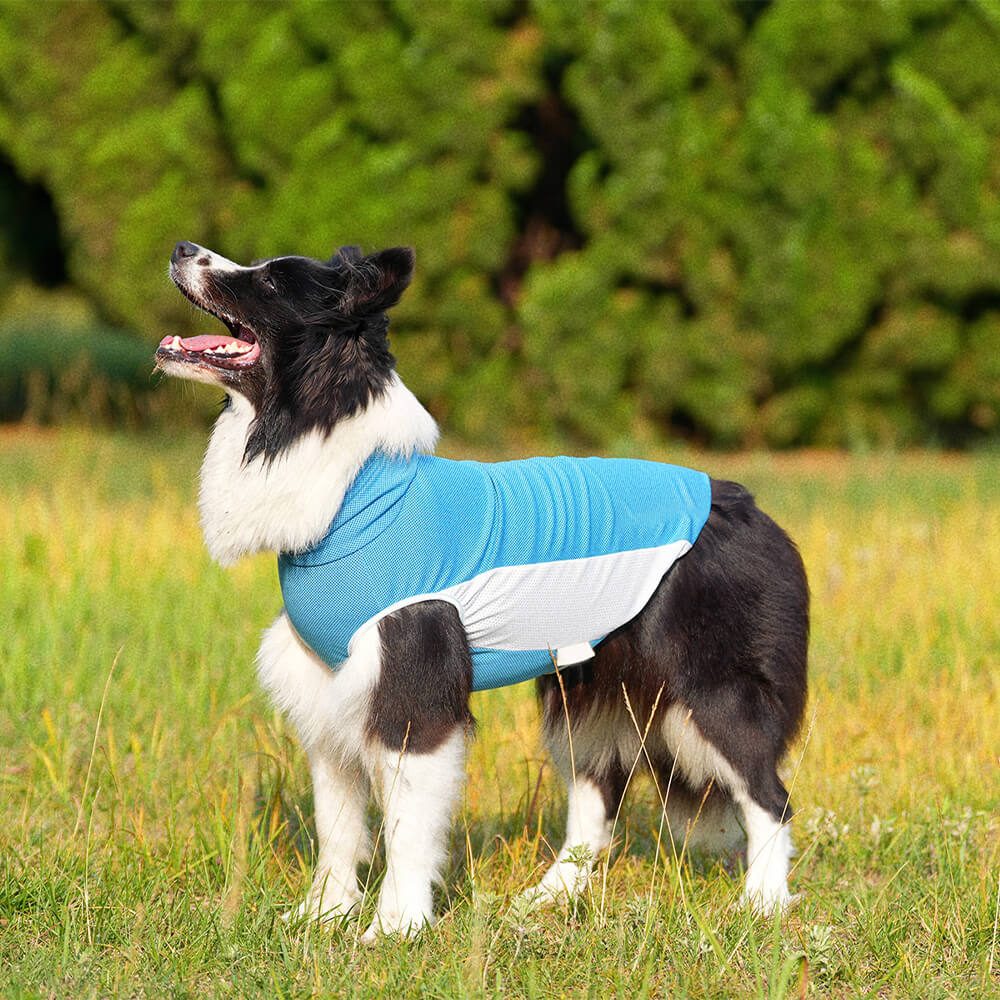 Ropa para perros para mascotas Sombrero para el sol de color en contraste al aire libre y chaleco refrescante para el sol