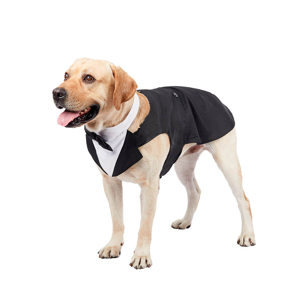 Ropa para perros, vestido de traje con pajarita de boda