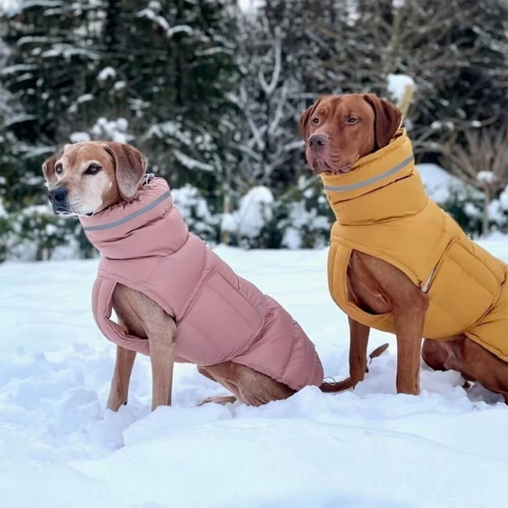 Gilet chaud imperméable et coupe-vent – ​​Le nec plus ultra en matière de chaleur et de style hivernal