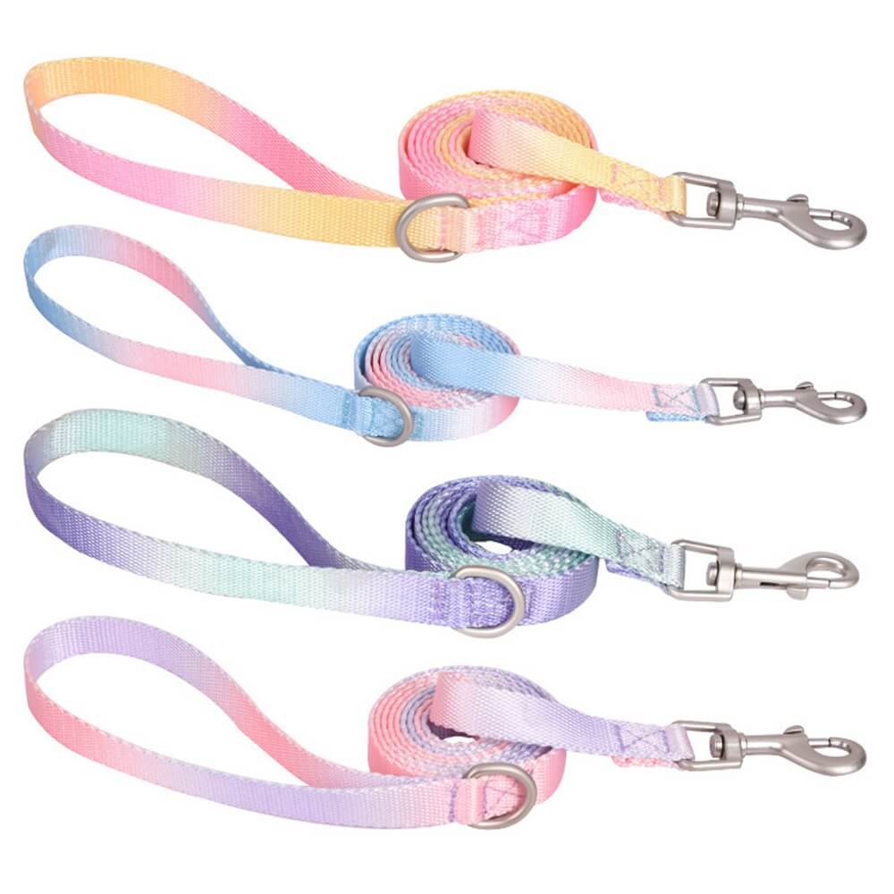 Macaroon Buckle Gradient Nylon Adjustable Dog Collar and Leash