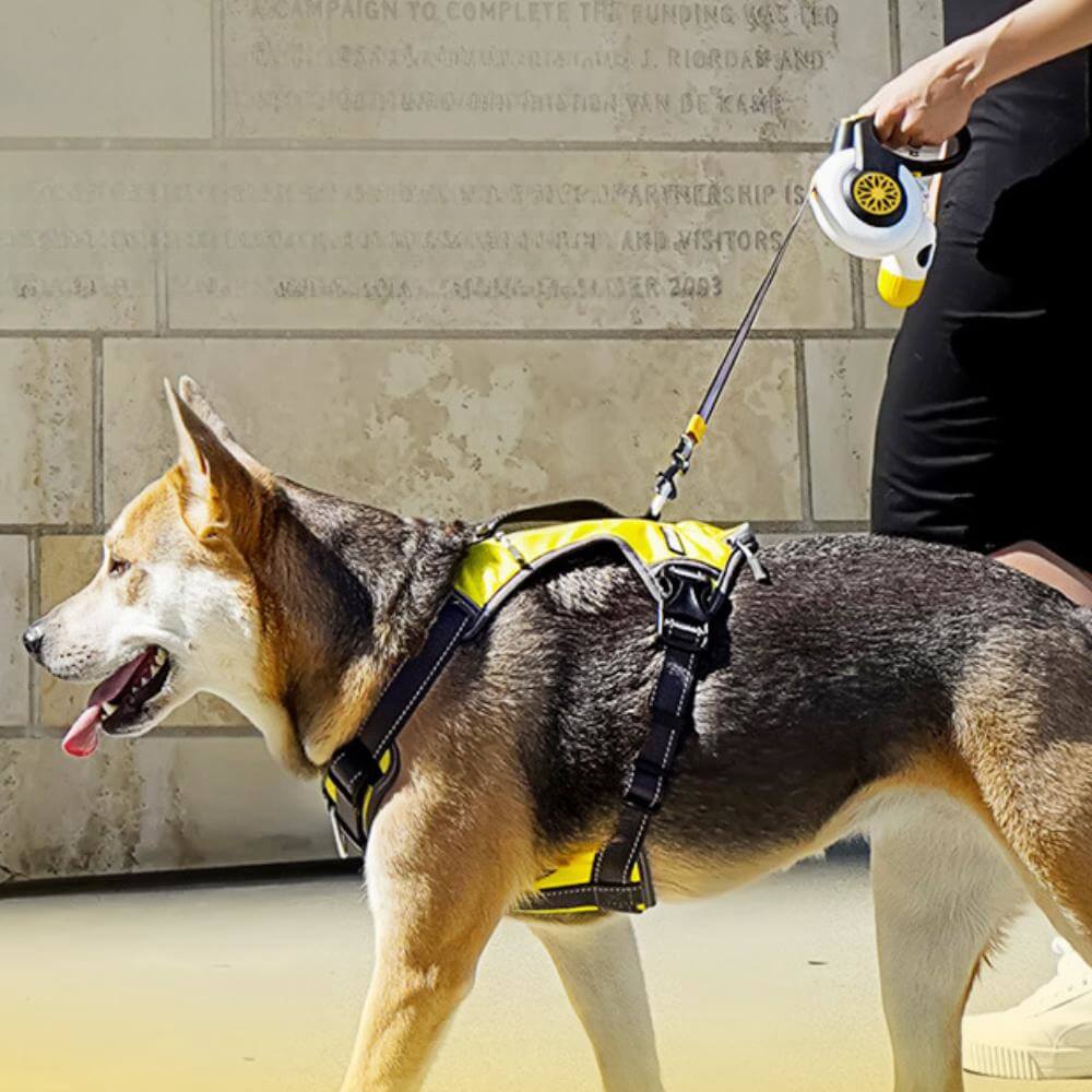 Automatic Explosion-Proof Retractable Dog Leash for Medium to Large Dogs