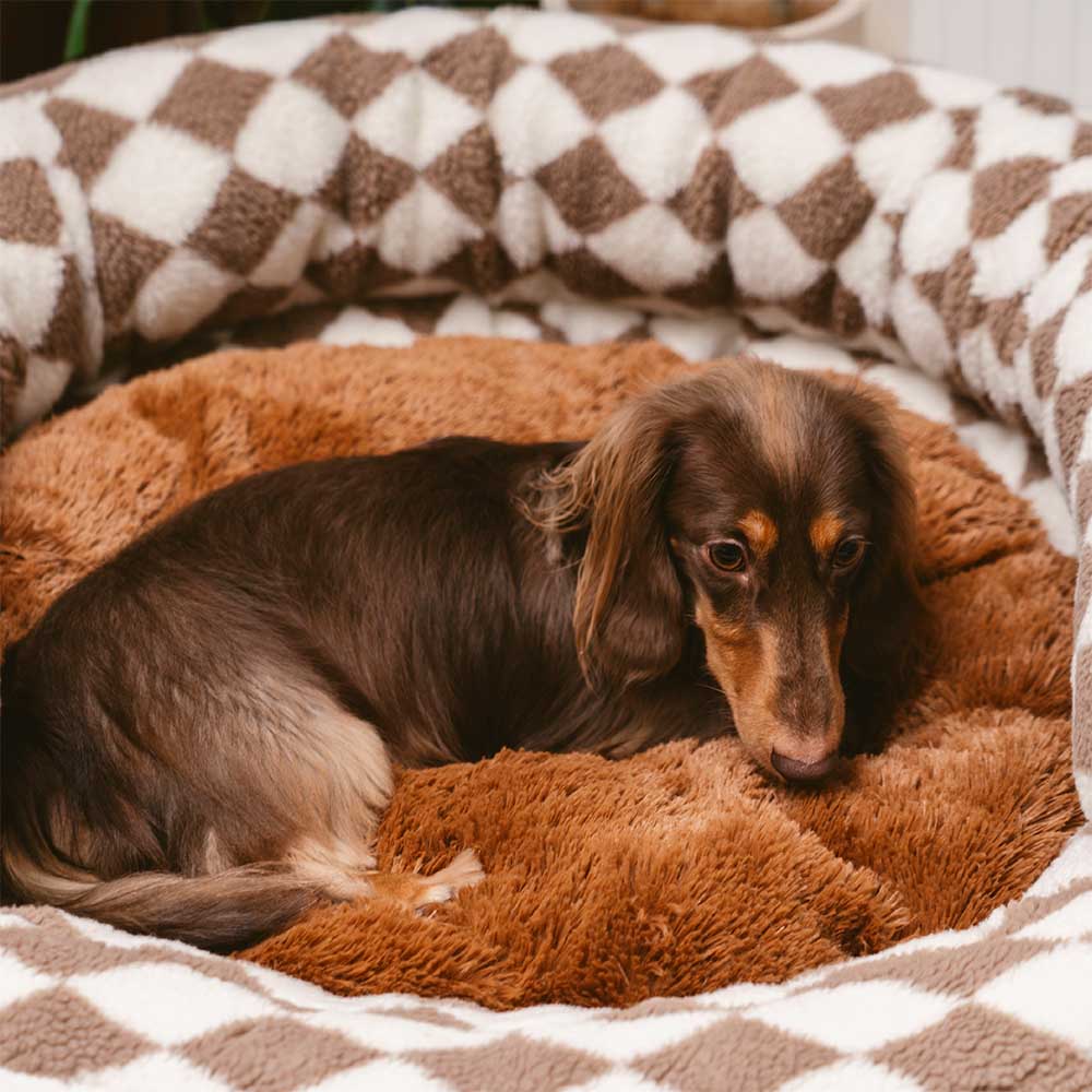 Lit pour chien Donut avec traversin lavable Argyle classique - Cosy Haven