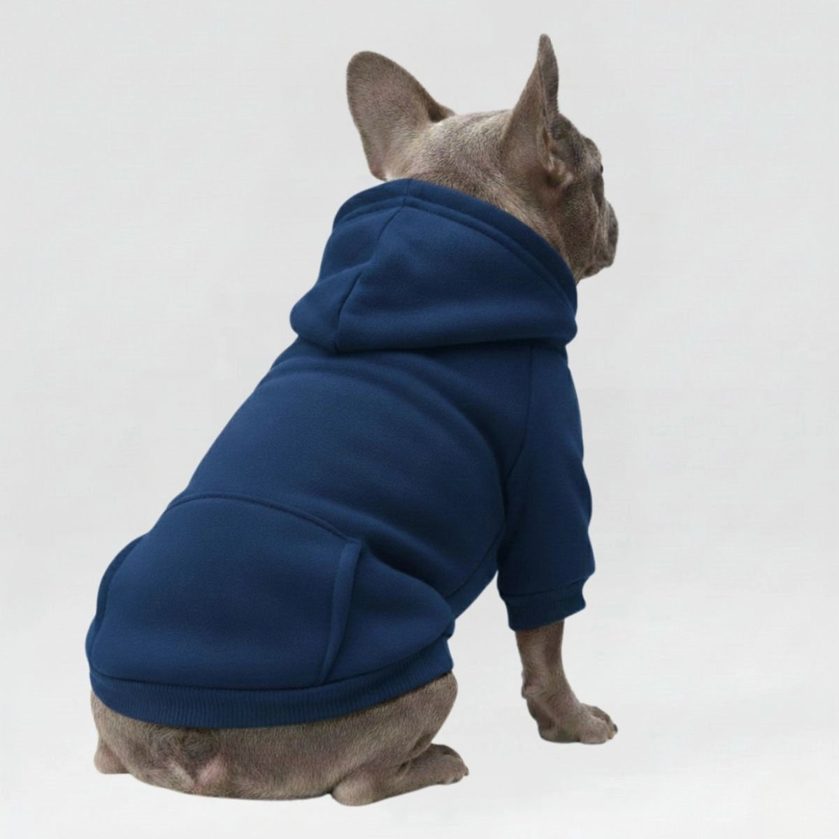 Colorful Cozy Dog Hoodies - Perfect for All-Weather Comfort