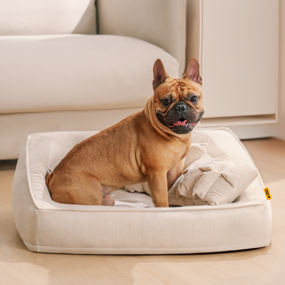 Orthopädisches Komfort-Schlafsofa für Hunde, wasserdicht, schmutzabweisend, mit Kissen