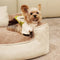 Cozy Diamond Faux Leather Square Dog Bed for Puppies
