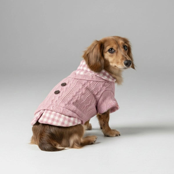 Pull pour chien tricoté confortable avec col à carreaux – Disponible en rose et bleu