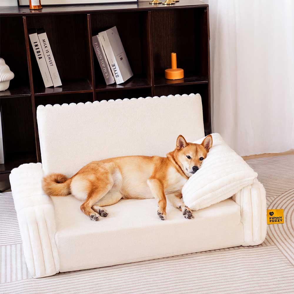 Creamy Fluffy Orthopedic Human-Dog Bolster Bed - Expandable Comfort