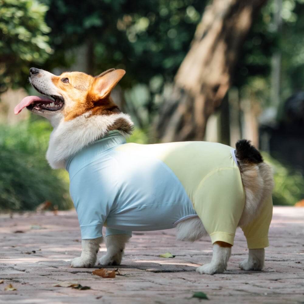 Extra großer Stretch-Sonnenschutz-Einteiler für Hunde, kühlende Hundekleidung