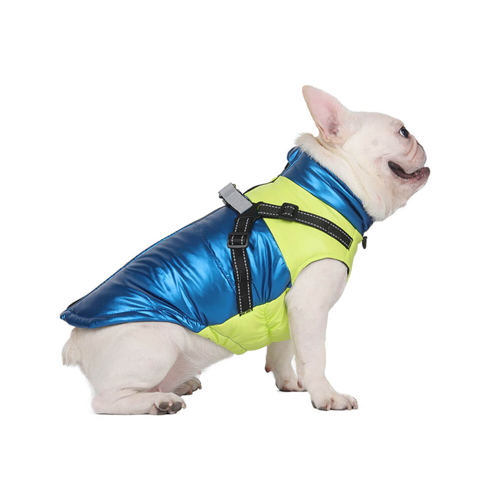 Veste chaude réfléchissante et imperméable pour chien, coupe réglable et sécurité, chic