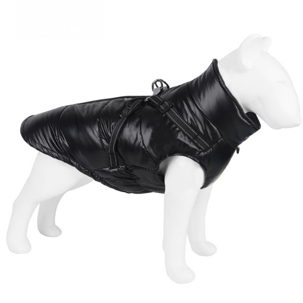 Veste chaude réfléchissante et imperméable pour chien, coupe réglable et sécurité, chic