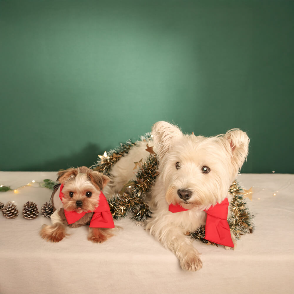 Weihnachtsschal mit Schleife und Knoten, verstellbare Passform für Hunde und Katzen