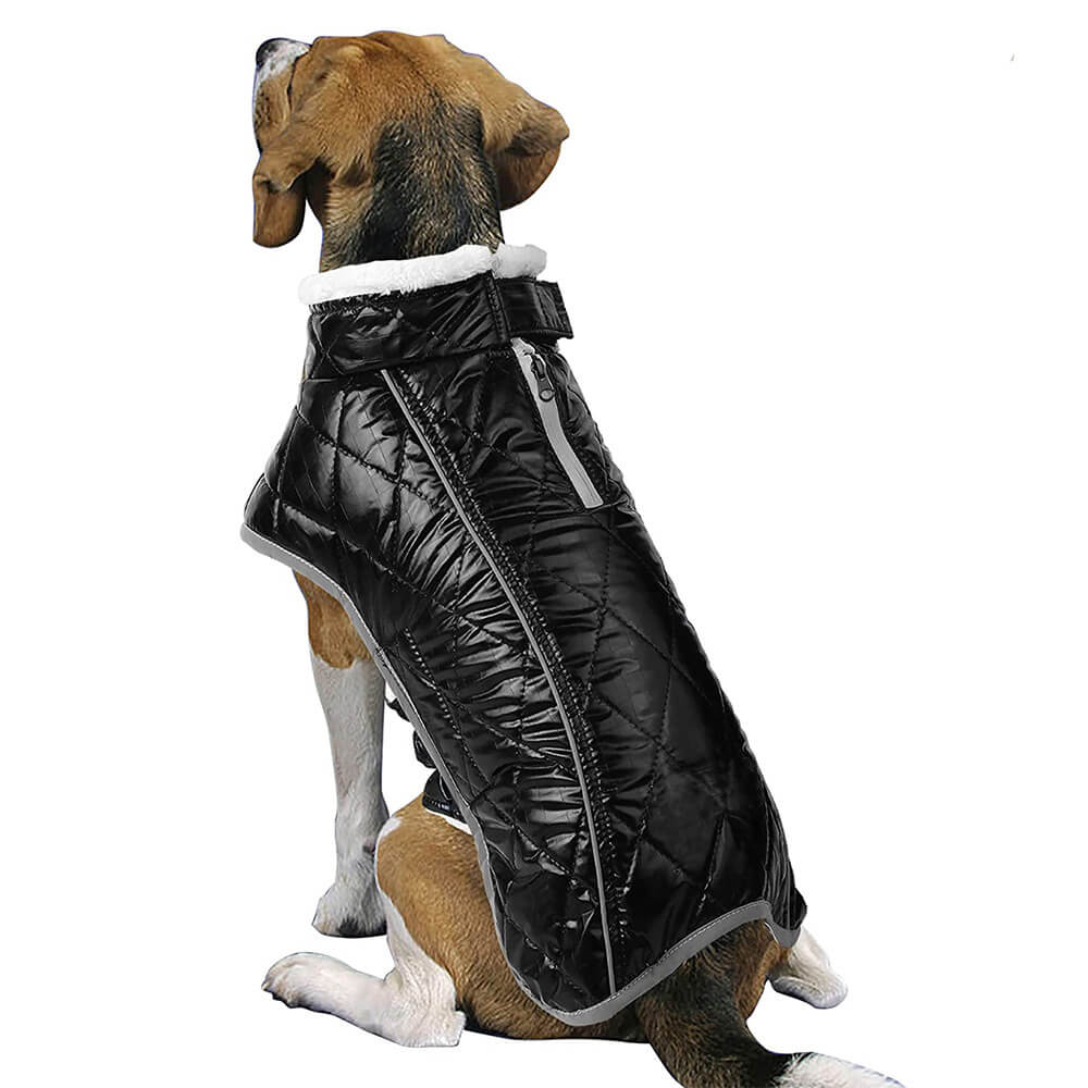 Veste chaude réfléchissante imperméable colorée éblouissante pour chien