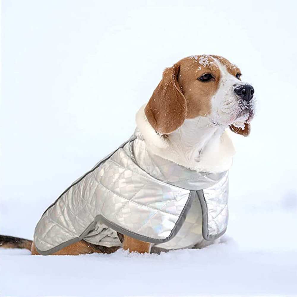 Veste chaude réfléchissante imperméable colorée éblouissante pour chien