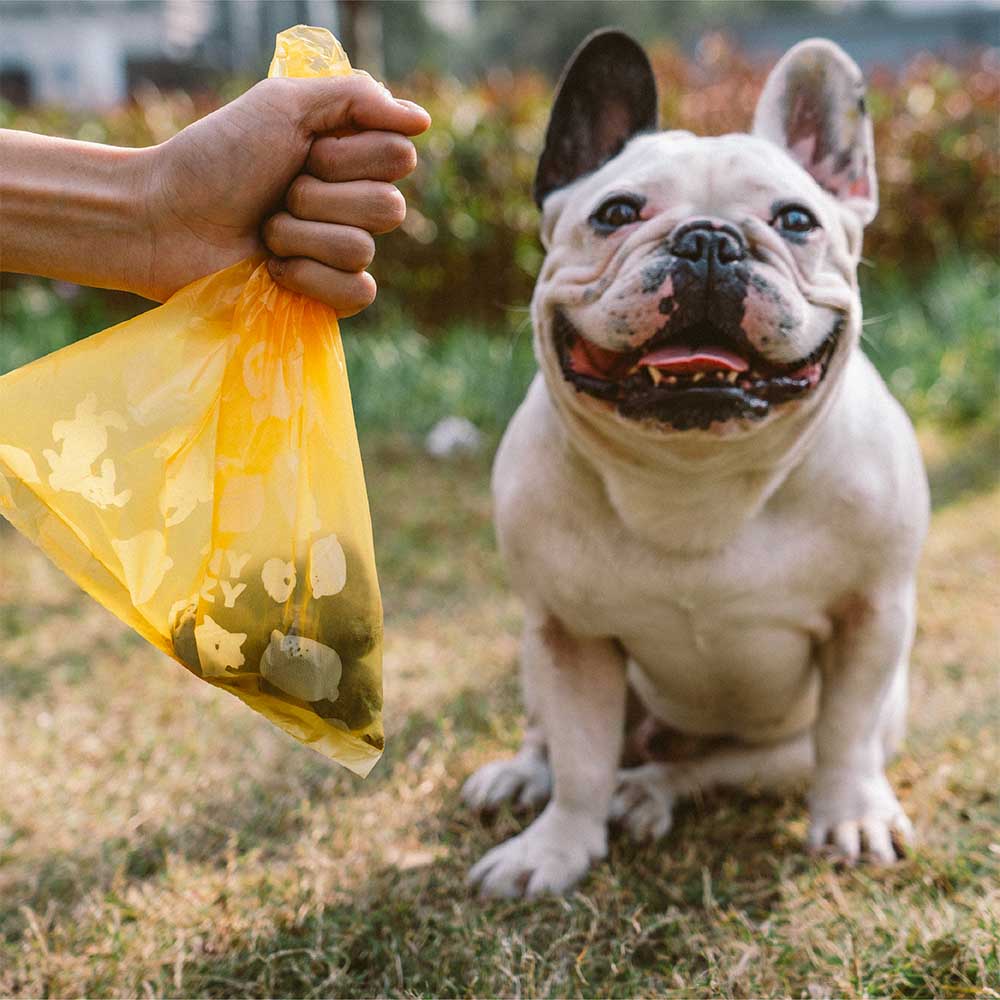 FUNNYFUZZY Lemon Scented Durable Recycled Poop Bags - Fresh Up