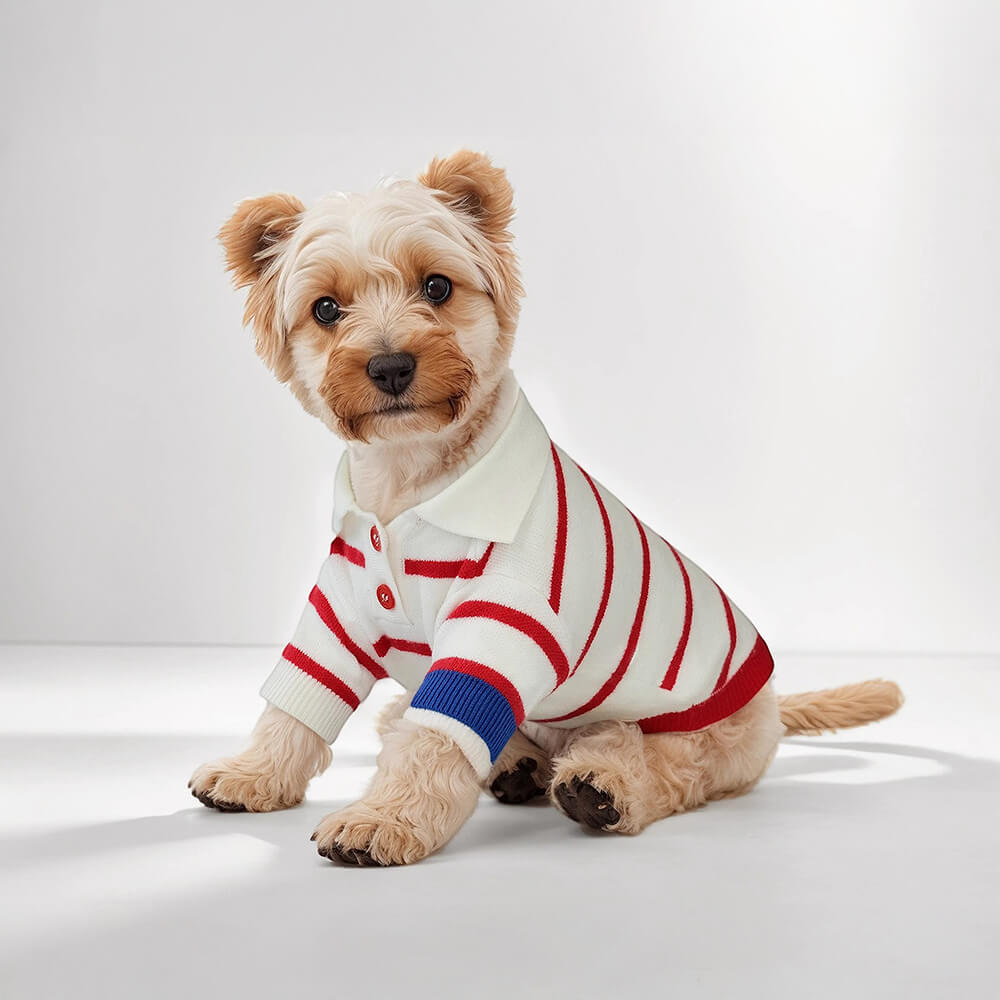 Gestreifter Hundestrickpullover im Polo-Stil im maritimen Marine-Stil