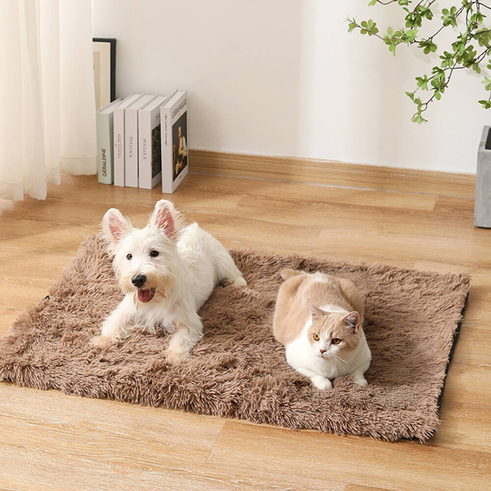 Soft Plush Anti-Slip Fluffy Dog & Cat Rug Mat