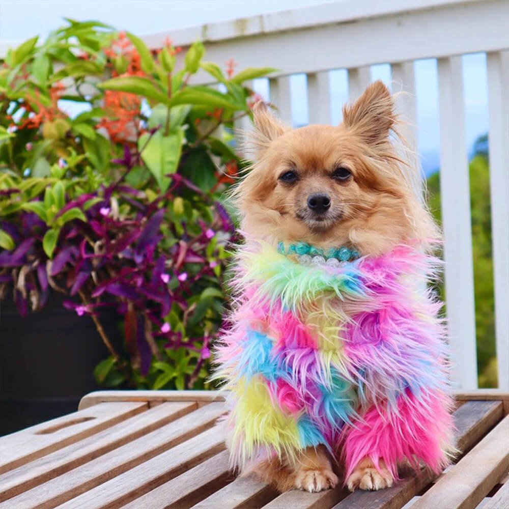 Manteau pour chien arc-en-ciel moelleux et élégant en fausse fourrure colorée