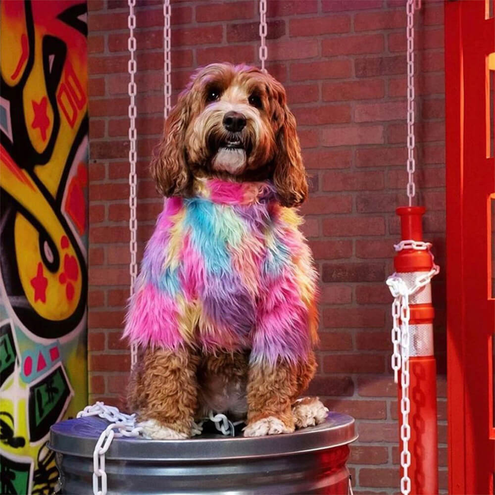 Manteau pour chien arc-en-ciel moelleux et élégant en fausse fourrure colorée