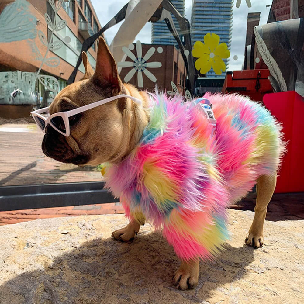 Manteau pour chien arc-en-ciel moelleux et élégant en fausse fourrure colorée