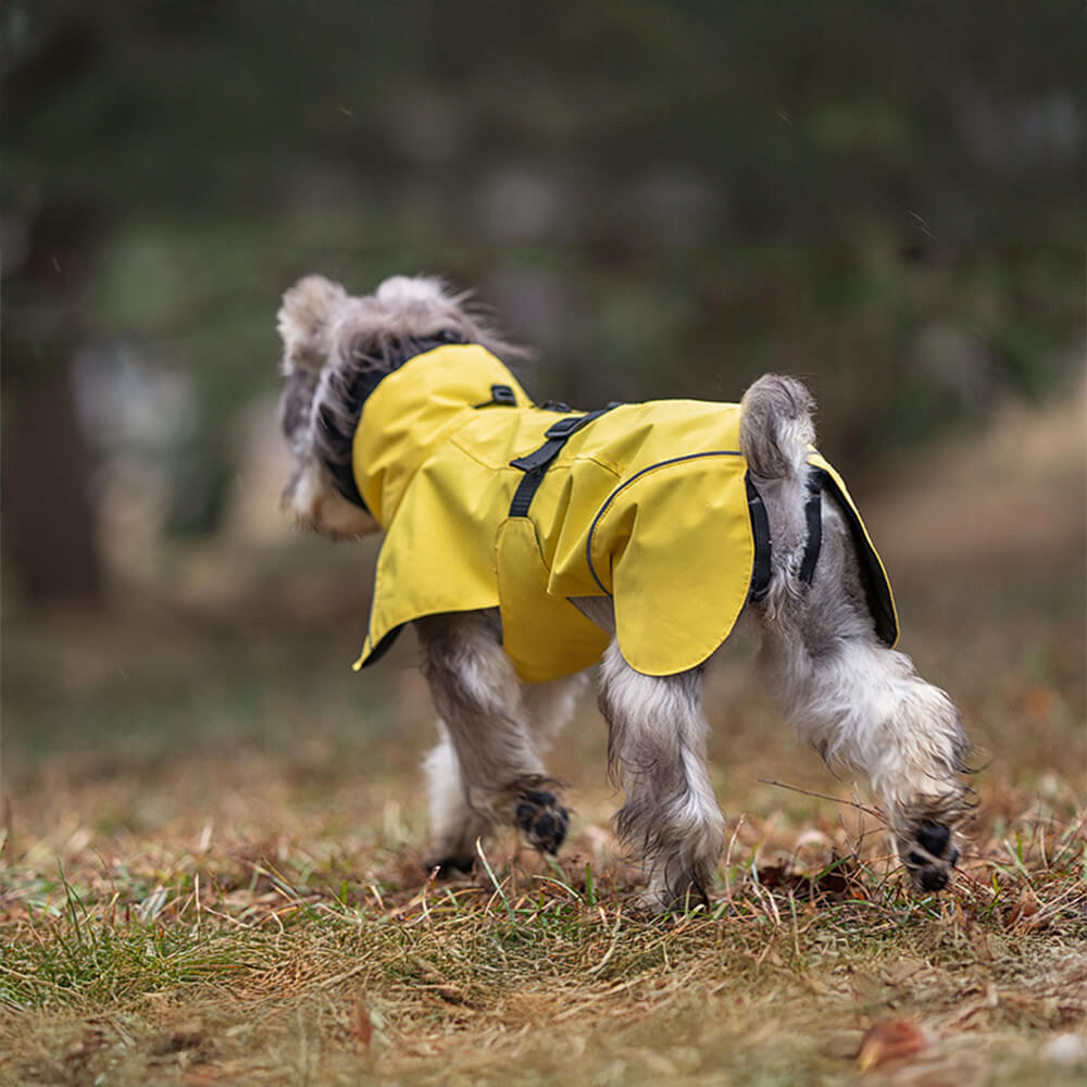 Poncho imperméable léger et réfléchissant à col roulé pour chien, imperméable et réglable