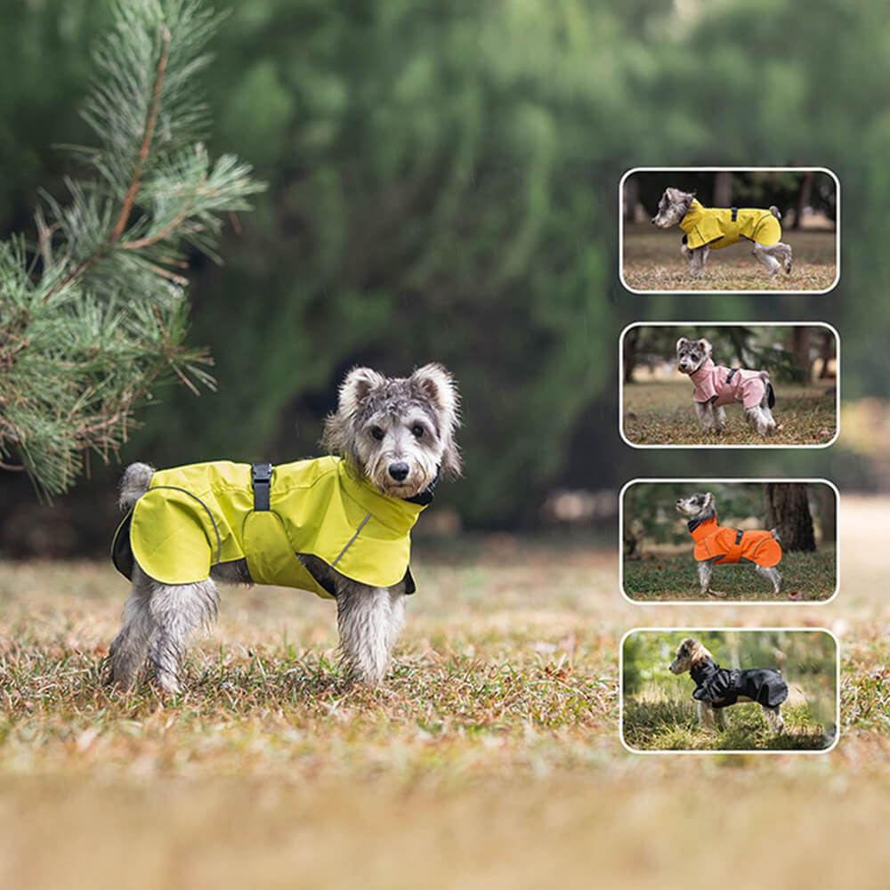 Poncho imperméable léger et réfléchissant à col roulé pour chien, imperméable et réglable