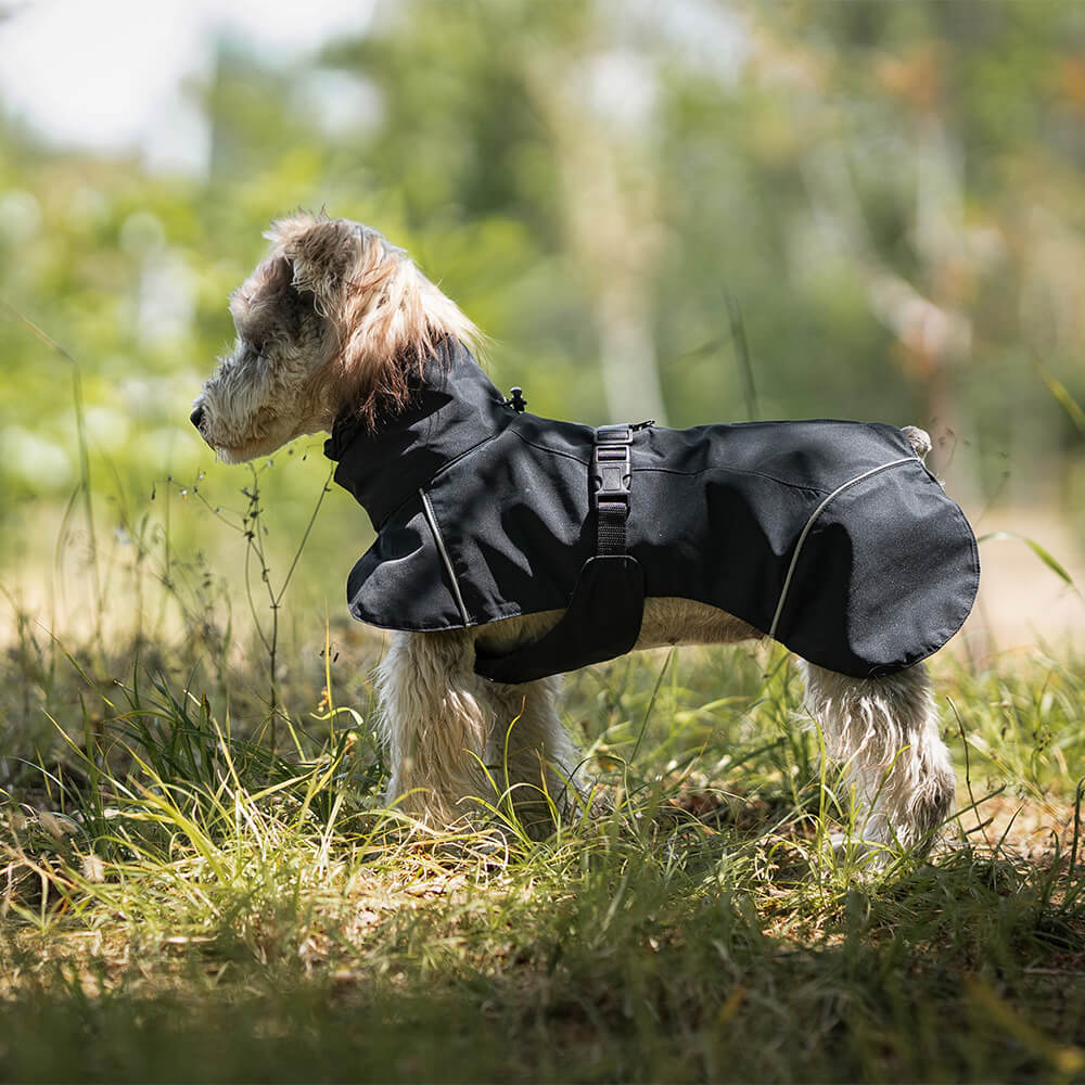 Poncho imperméable léger et réfléchissant à col roulé pour chien, imperméable et réglable