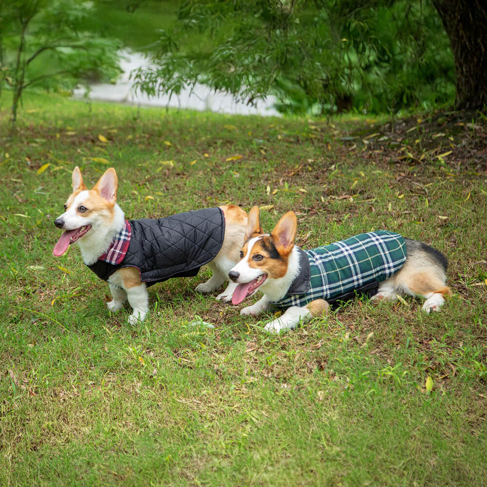 Ultrawarme, hautfreundliche, karierte Hundejacke mit Rollkragen und Klettverschluss