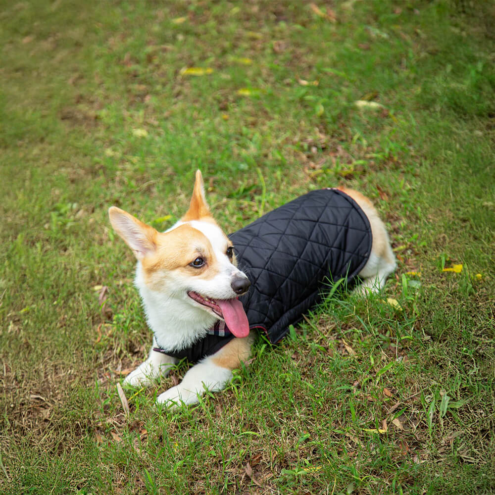 Ultrawarme, hautfreundliche, karierte Hundejacke mit Rollkragen und Klettverschluss