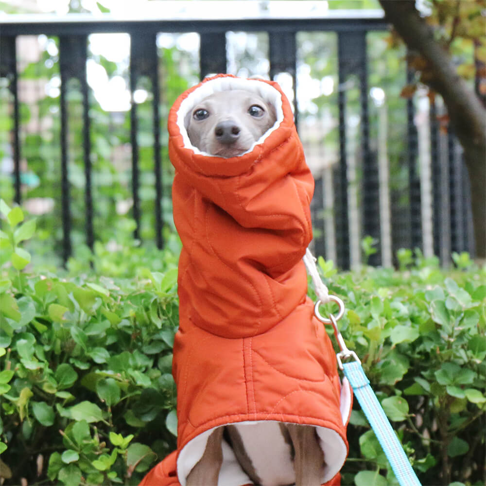 Veste chaude et imperméable matelassée pour chien à col roulé