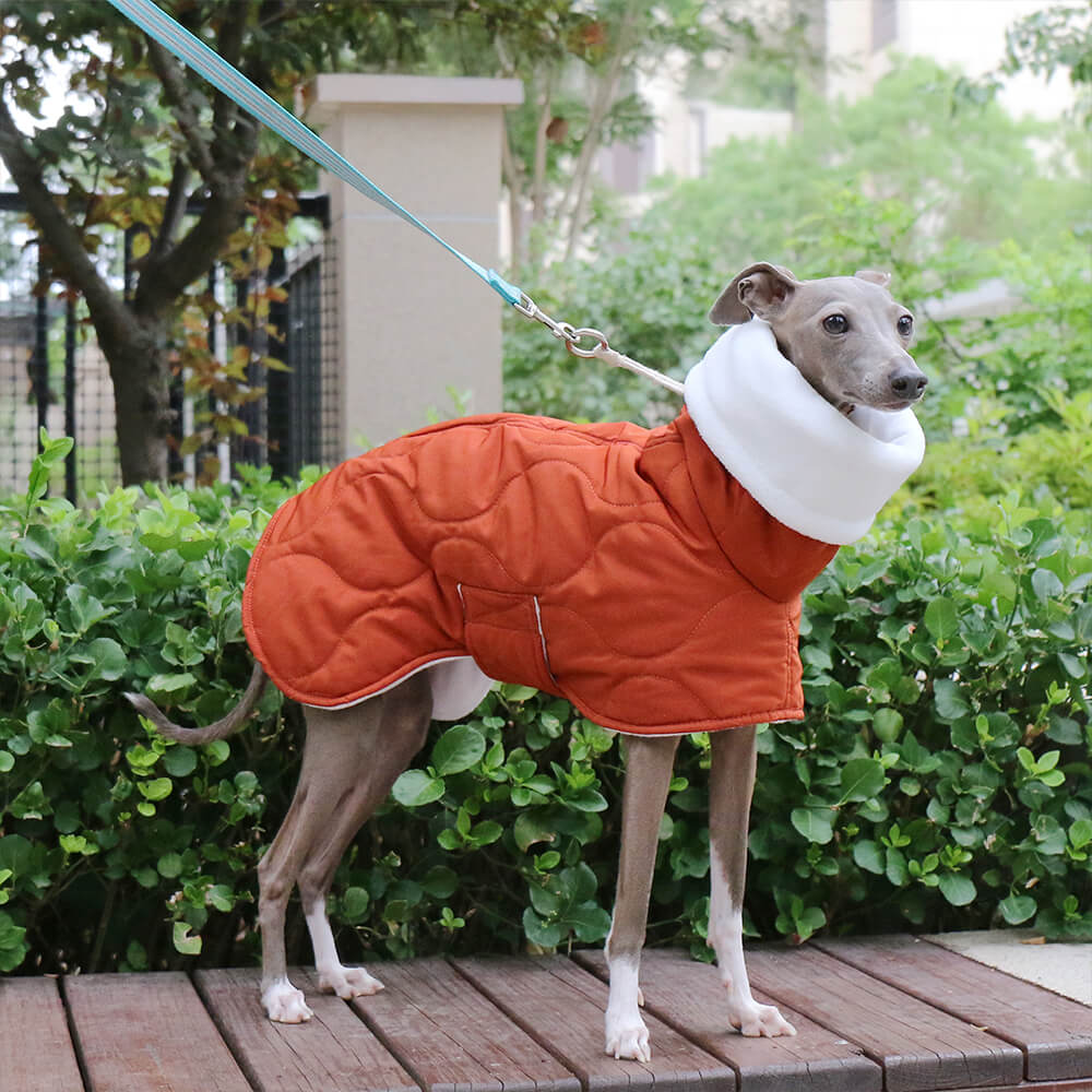 Veste chaude et imperméable matelassée pour chien à col roulé