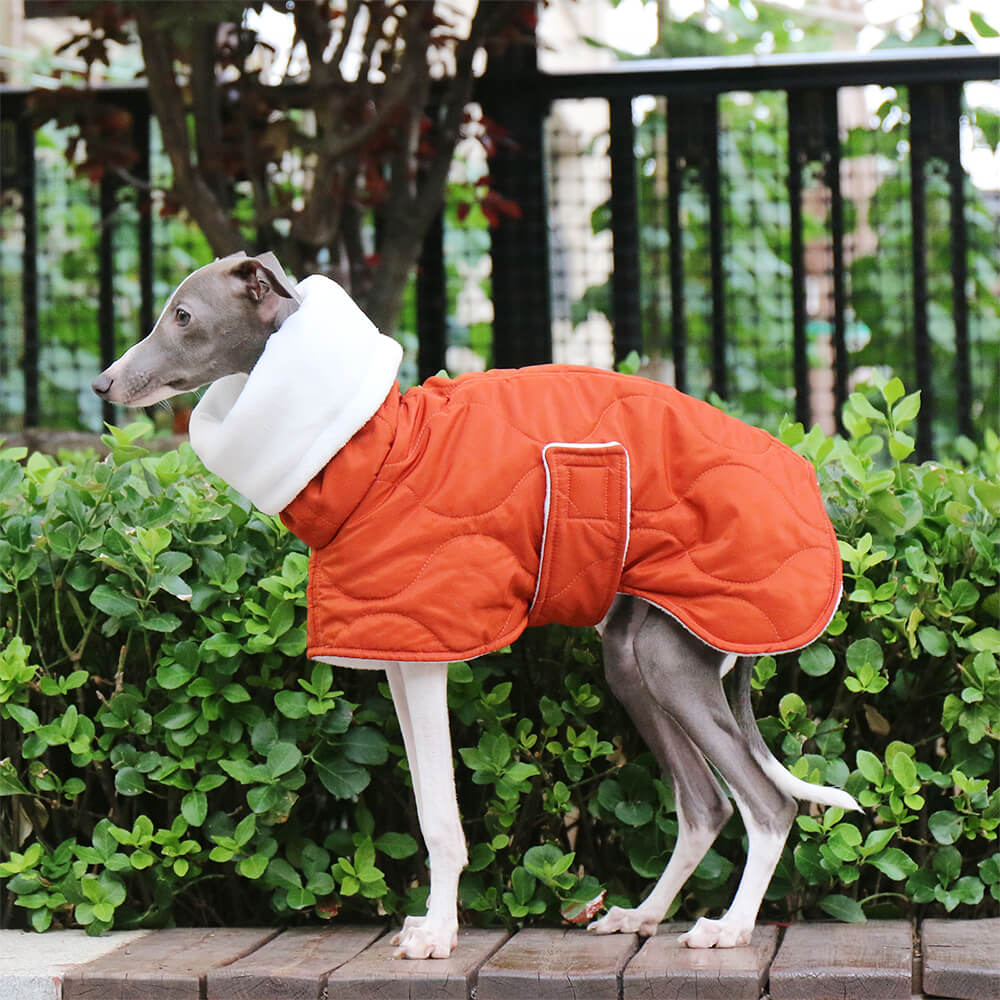 Veste chaude et imperméable matelassée pour chien à col roulé