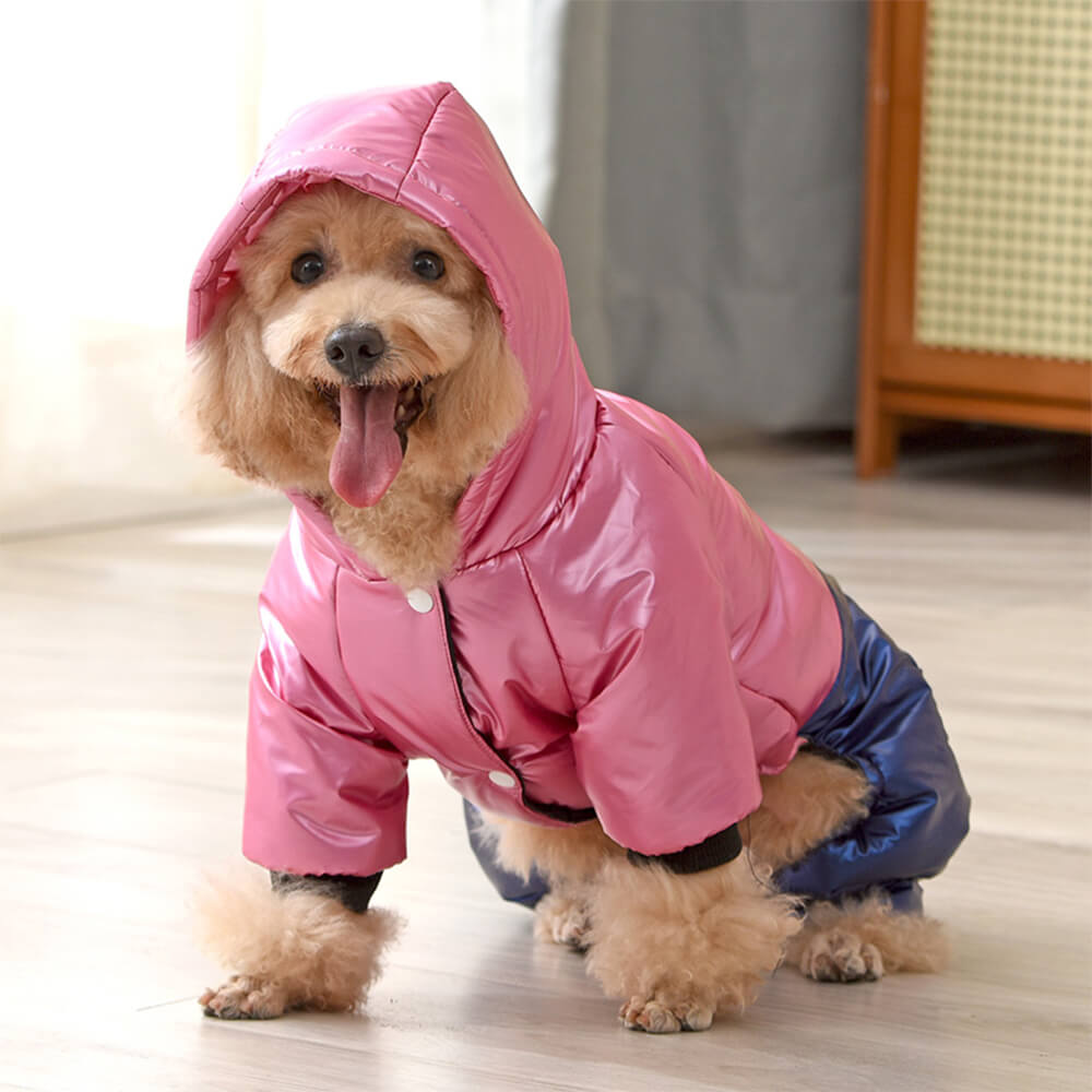 Manteau à capuche imperméable et coupe-vent pour chien avec fermeture à pression