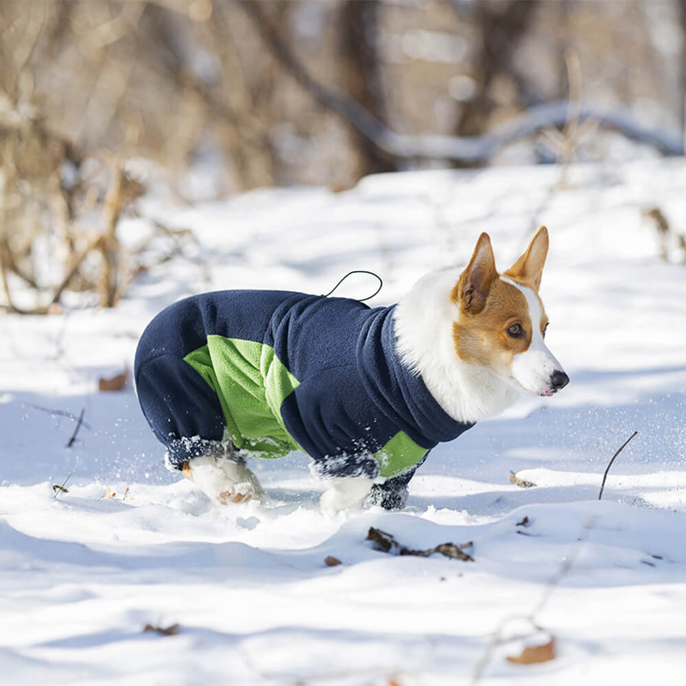 Combinaison pour chien à col roulé en polaire coupe-vent et chaude pour tout le corps