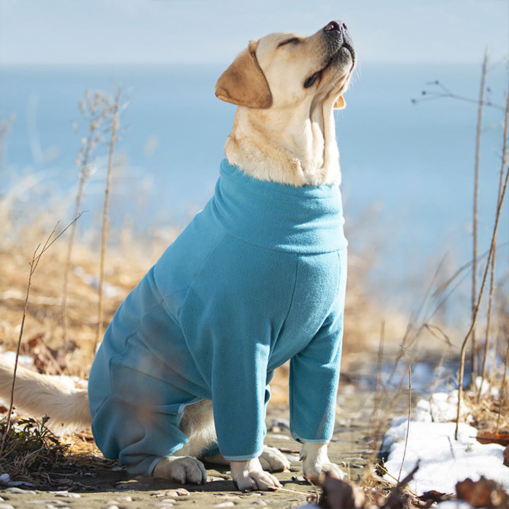 Combinaison pour chien à col roulé en polaire coupe-vent et chaude pour tout le corps