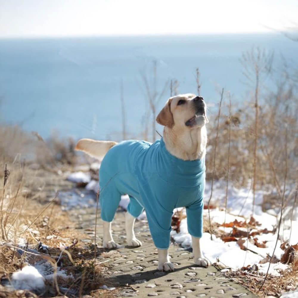 Combinaison pour chien à col roulé en polaire coupe-vent et chaude pour tout le corps