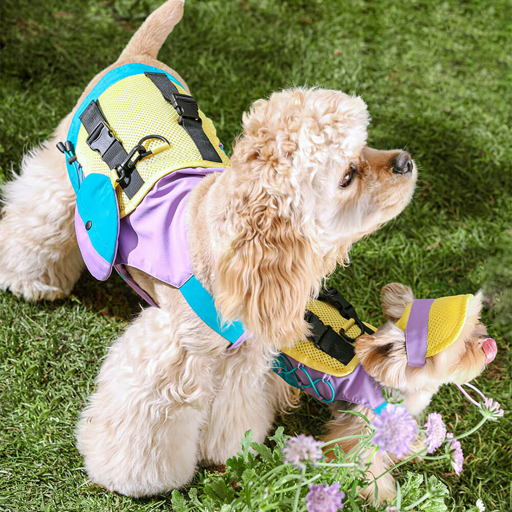 Gilet pour chien coloré à la mode avec chapeau de soleil pour petits chiens