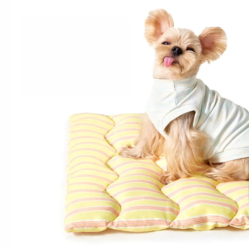 Color-Blocked Striped Breathable Double-Sided Soft Pet Mat