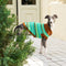 Color Blocked Striped Dachshund Dog Sweater