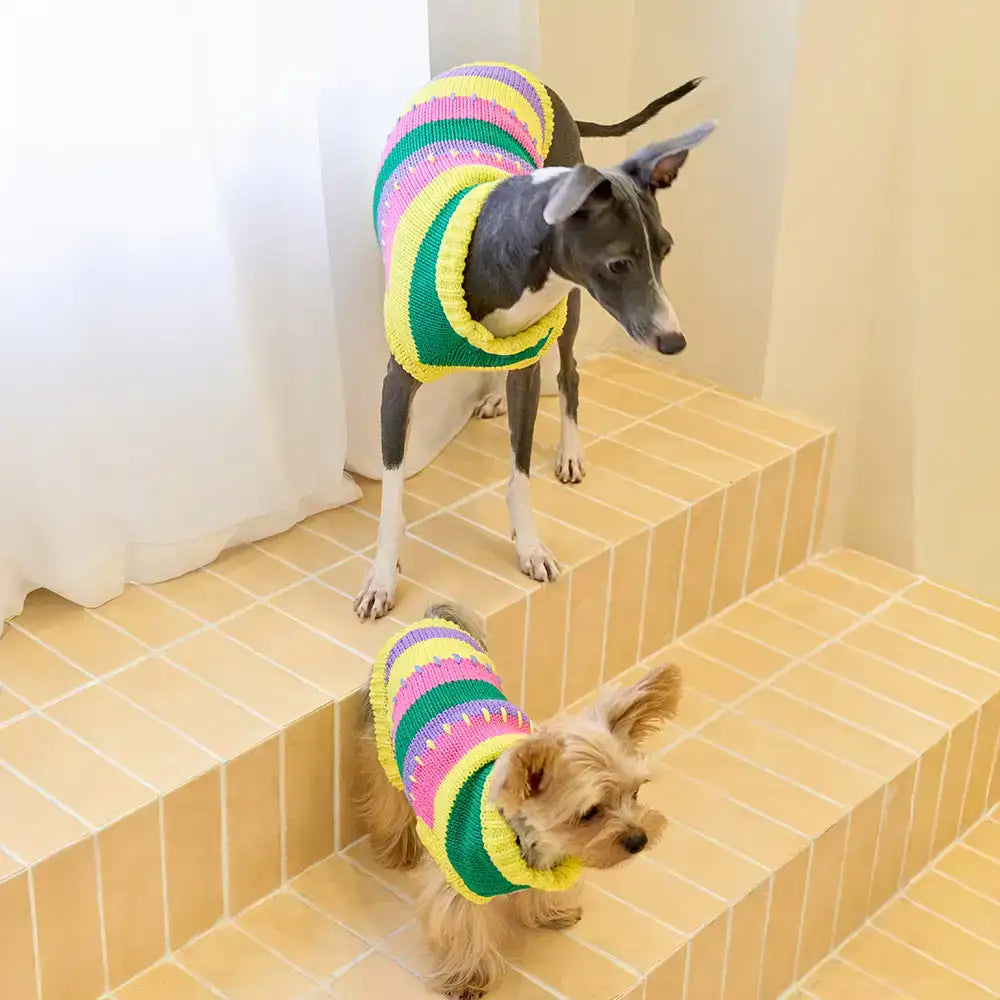 Color Blocked Striped Dachshund Sleeveless Dog Sweater