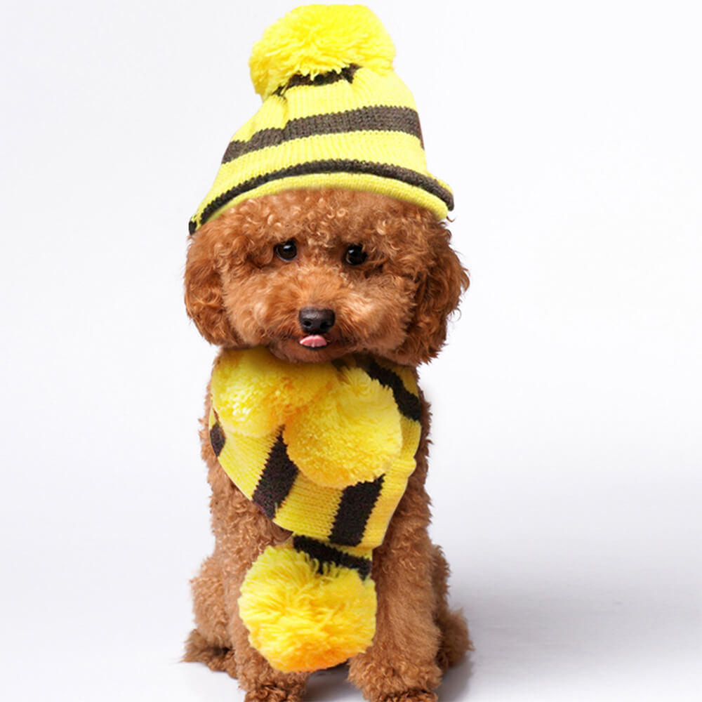 Colorful Striped Knit Pom Pom Cozy Dog Hat Scarf & Socks Set