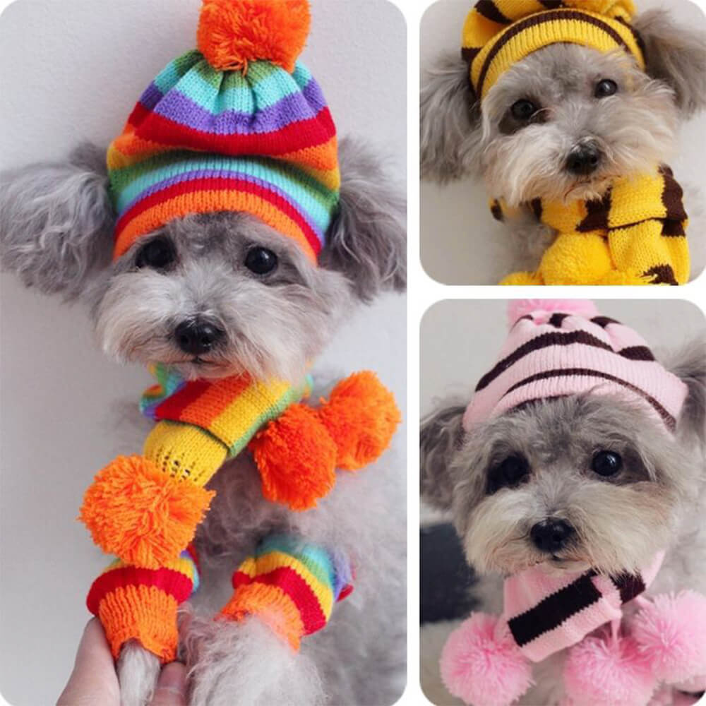 Colorful Striped Knit Pom Pom Cozy Dog Hat Scarf & Socks Set