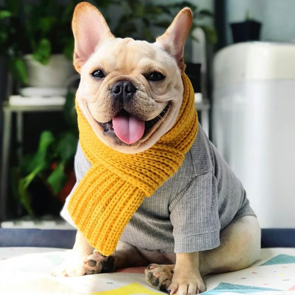 Écharpe pour chien en tricot confortable, douce et chaude, ajustement réglable