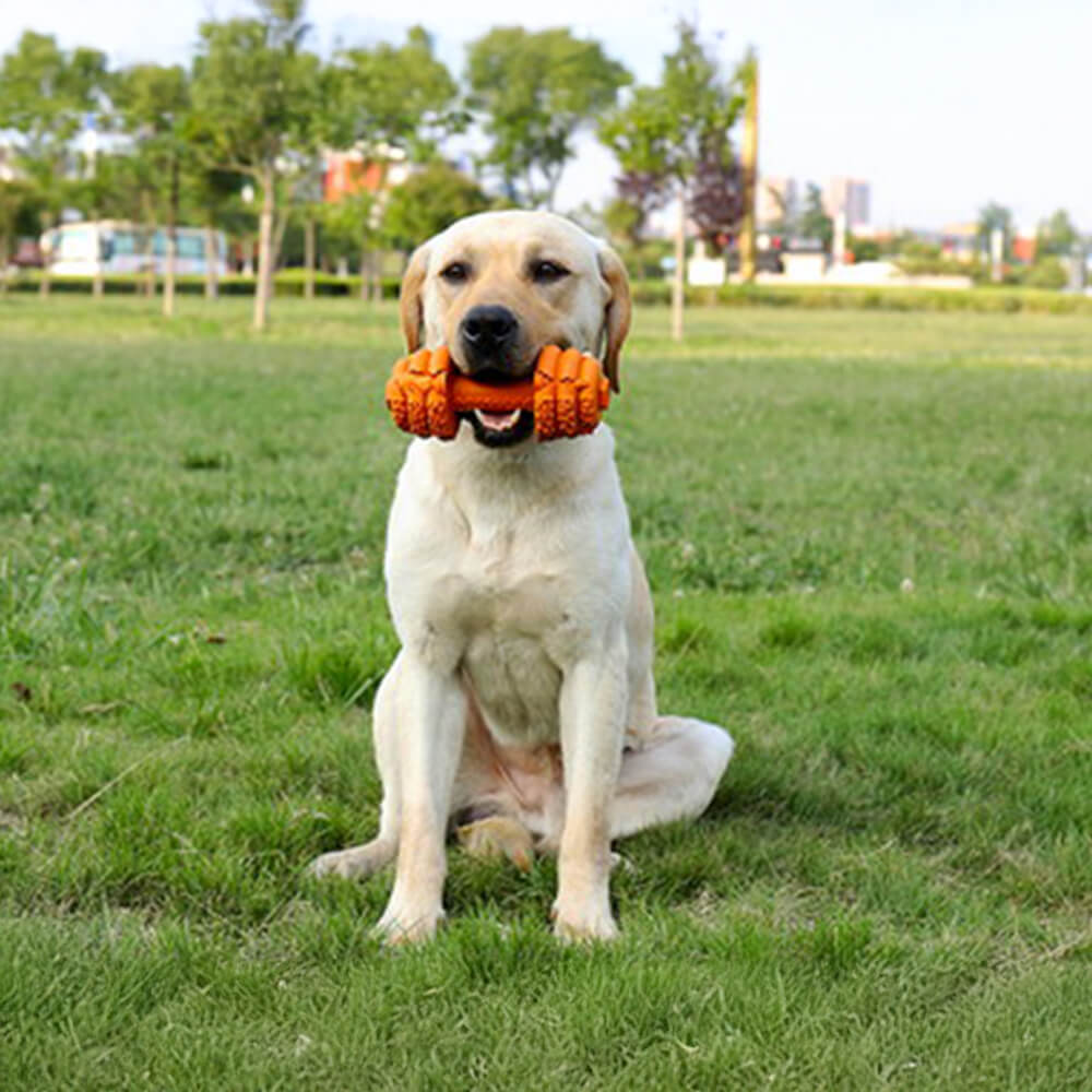 Jouet interactif durable pour chien à alimentation lente en silicone avec haltère