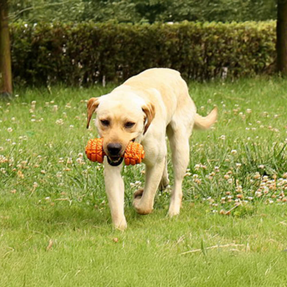 Dumbbell Silicone Slow Feeder Durable Interactive Dog Toy