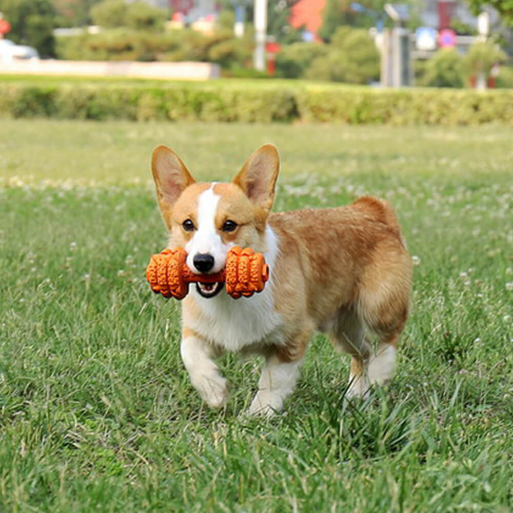 Jouet interactif durable pour chien à alimentation lente en silicone avec haltère