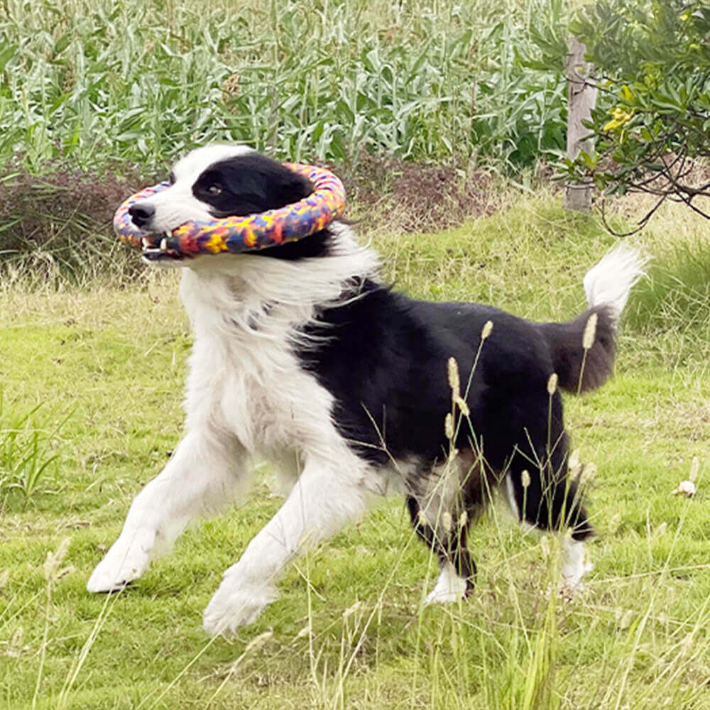 Jouet camouflage Durable pour chien, corde résistante à la mastication, série de jouets d'eau flottants