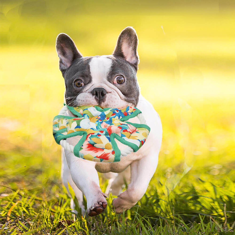 Kaubeständiges Hundespielzeug aus Segeltuch mit Blumendruck, quietschendes Spielzeug