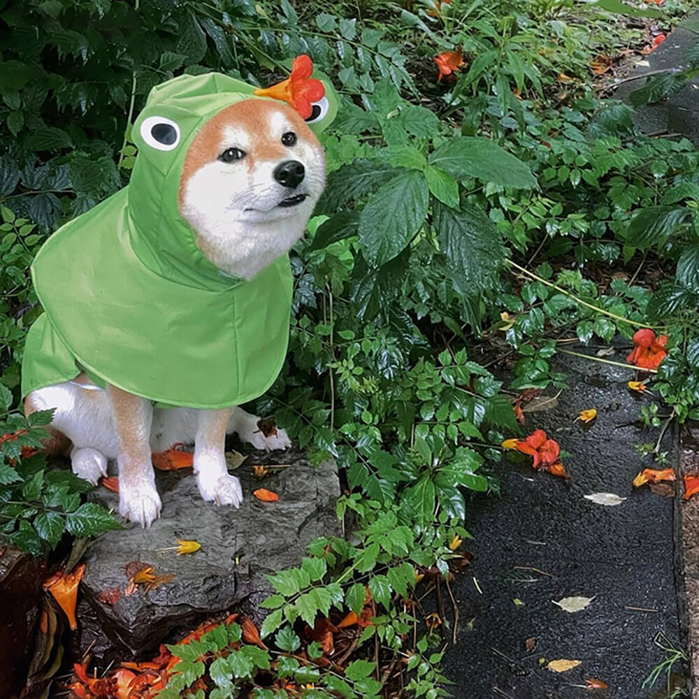 Poncho imperméable léger à capuche pour chien inspiré de la grenouille